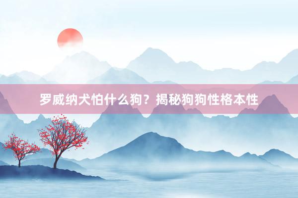 罗威纳犬怕什么狗？揭秘狗狗性格本性
