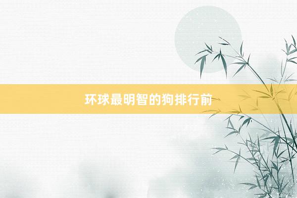 环球最明智的狗排行前