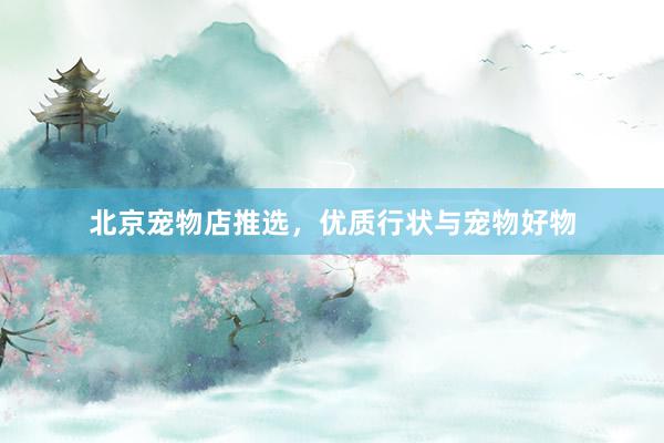 北京宠物店推选，优质行状与宠物好物